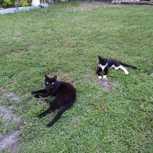 Meet your Posher, Samuel